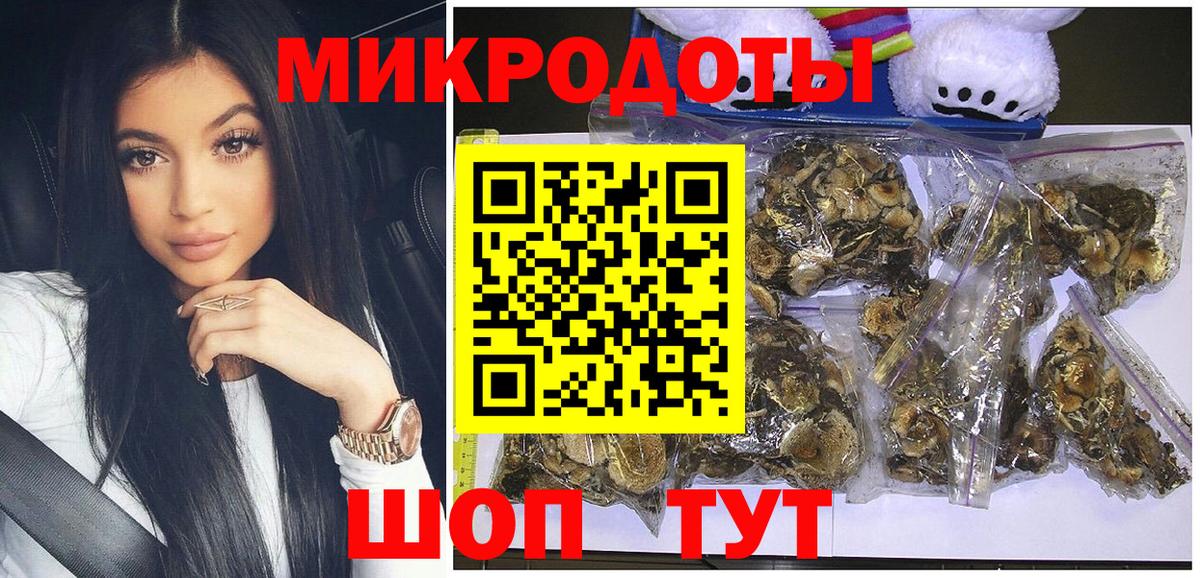 Псилоцибиновые грибы прущие грибы Богданович