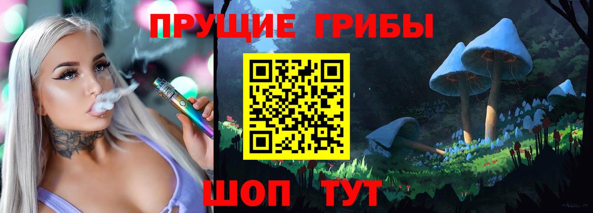 дарнет шоп  Псилоцибиновые грибы Magic Shrooms  Галлюциногенные грибы Magic Shrooms  Вход с VPN  Богданович 
